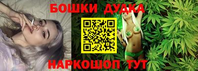 крисы Бийск