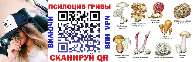 Галлюциногенные грибы мицелий  Глазов 