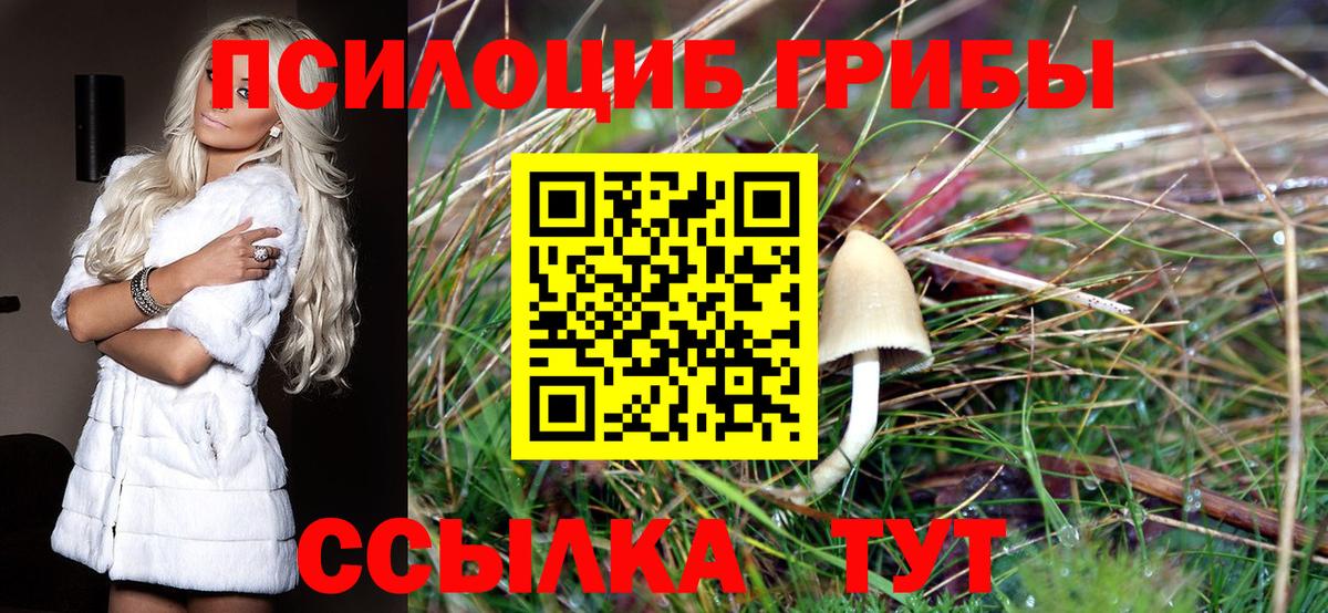 Галлюциногенные грибы Cubensis Глазов