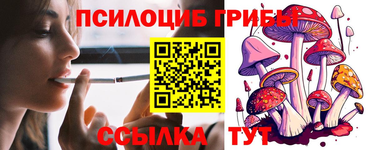 Галлюциногенные грибы прущие грибы  Галлюциногенные грибы Psilocybe  Вход с VPN  Глазов 