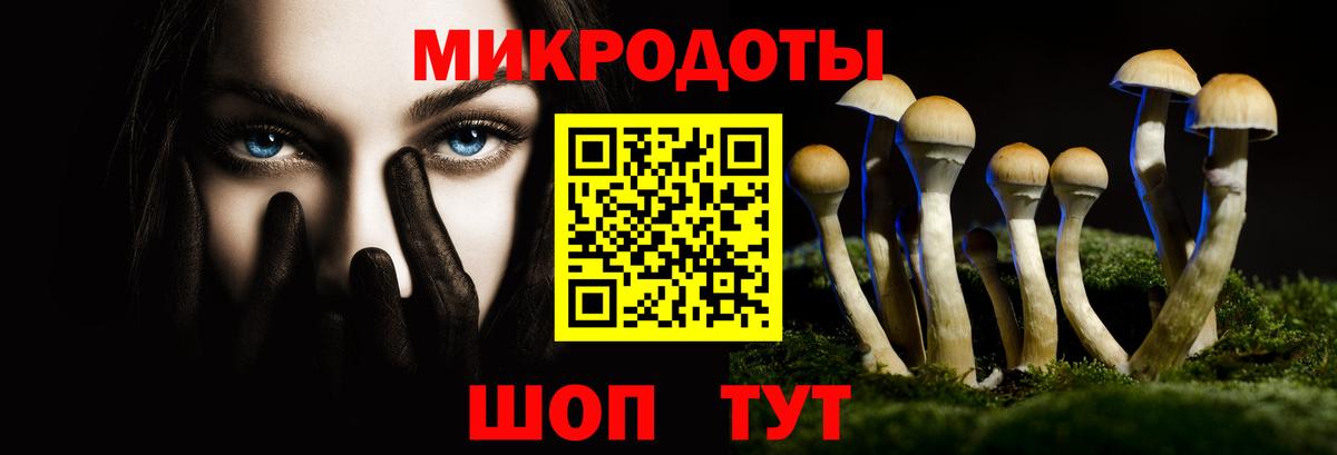 Галлюциногенные грибы прущие грибы Глазов